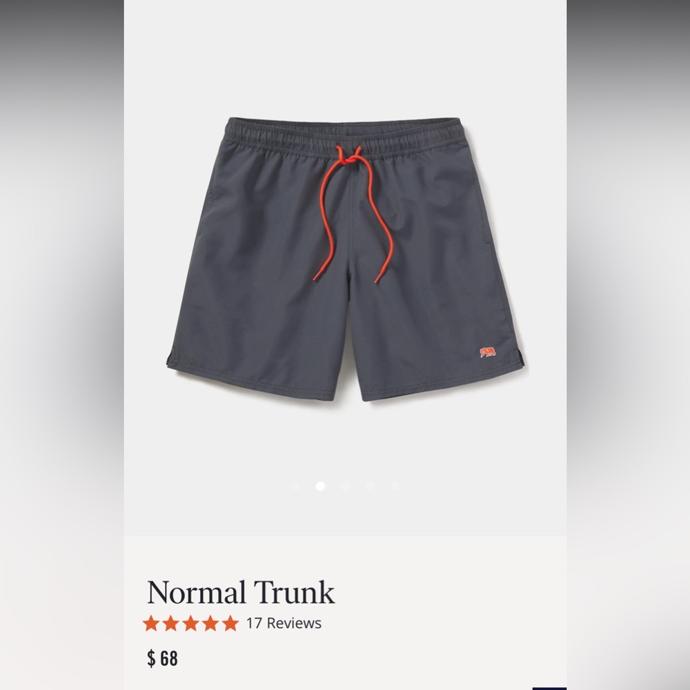 Normal Brand Mens Swim Trunks